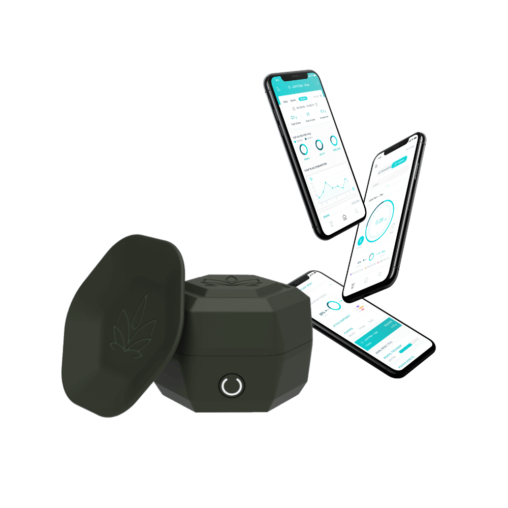 Grinder and scale